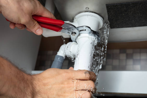 Best Water damage restoration mold remediation  in Gosnell, AR
