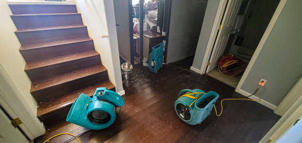 Water damage restoration mold remediation in Gosnell, AR
