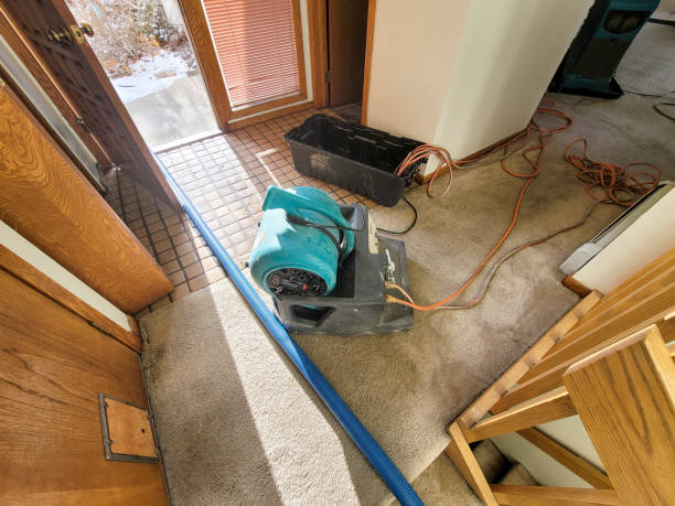 Best 24-hour water damage restoration  in Gosnell, AR