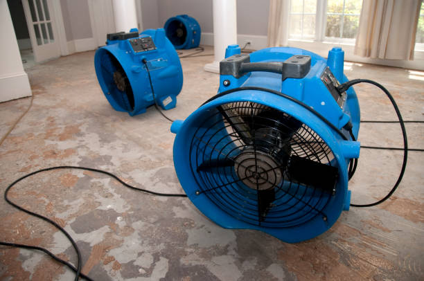 Best Fire Damage Restoration  in Gosnell, AR