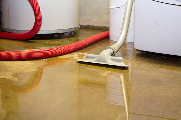 Best Sewage cleanup and water damage restoration  in Gosnell, AR