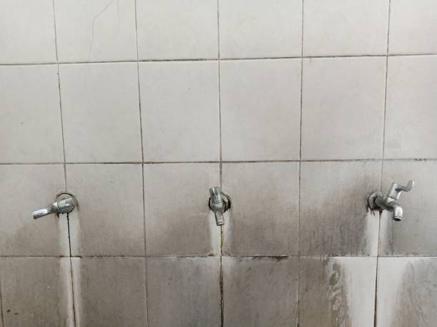Trusted Gosnell, AR Water damage restoration Experts
